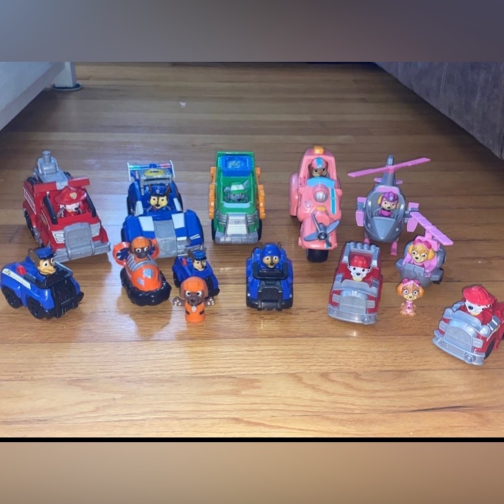 Paw patrol lot